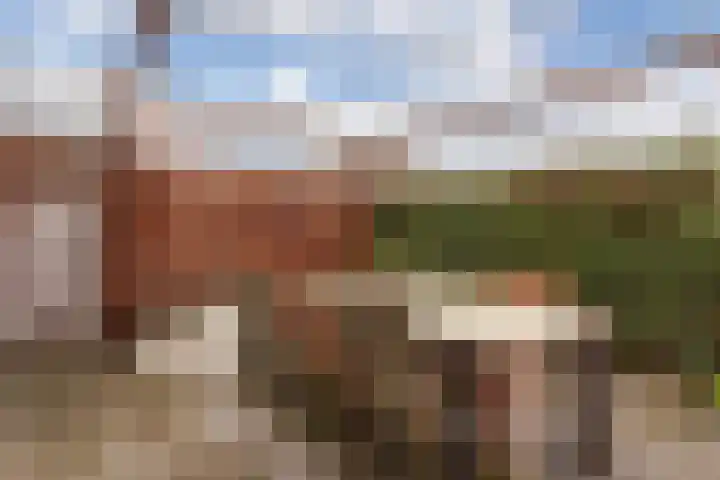 Pippijn van Herstalstraat 9 Wijk bij Duurstede thumbnail 23