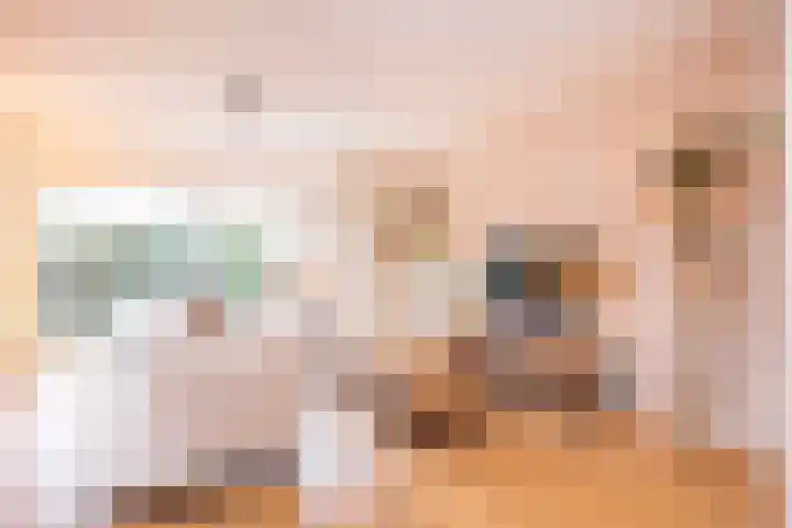 Pippijn van Herstalstraat 9 Wijk bij Duurstede thumbnail 4