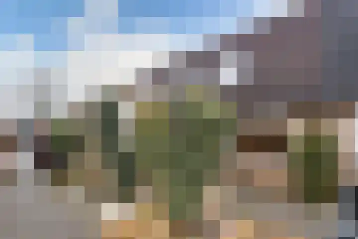 Pippijn van Herstalstraat 9 Wijk bij Duurstede thumbnail 43