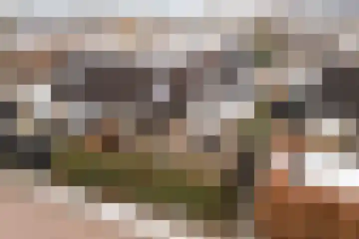 Pippijn van Herstalstraat 9 Wijk bij Duurstede thumbnail 44