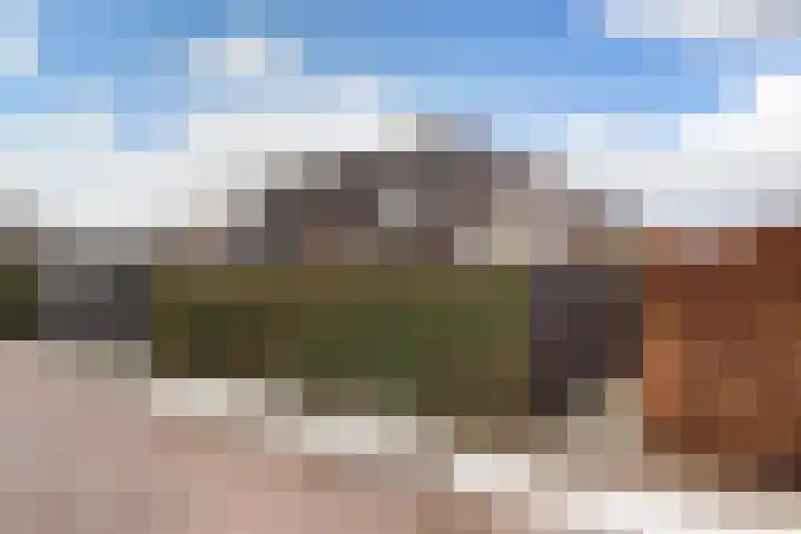 Pippijn van Herstalstraat 9 Wijk bij Duurstede thumbnail 45