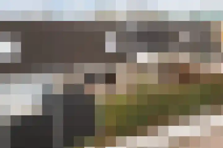 Pippijn van Herstalstraat 9 Wijk bij Duurstede thumbnail 47