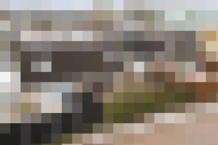 Pippijn van Herstalstraat 9 Wijk bij Duurstede thumbnail 48