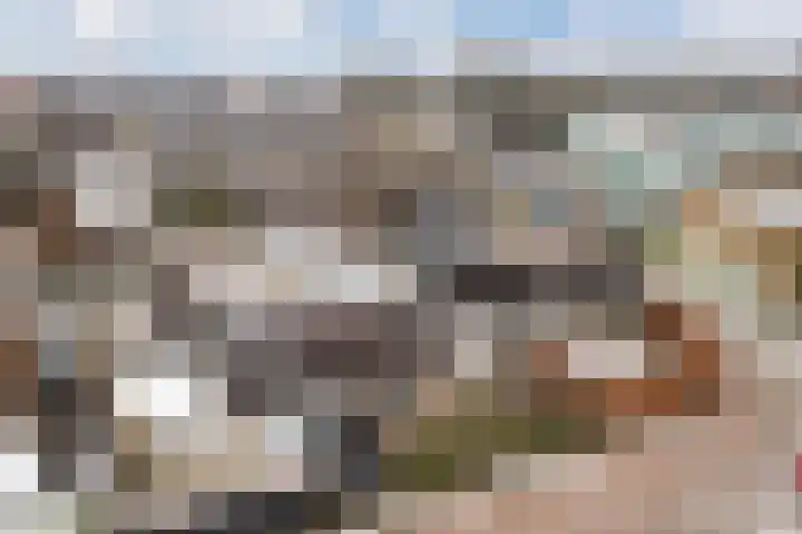 Pippijn van Herstalstraat 9 Wijk bij Duurstede thumbnail 49