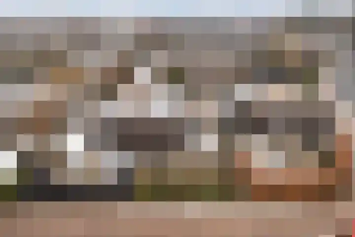 Pippijn van Herstalstraat 9 Wijk bij Duurstede thumbnail 51