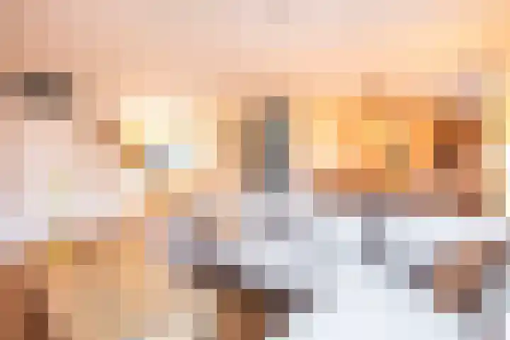 Pippijn van Herstalstraat 9 Wijk bij Duurstede thumbnail 9