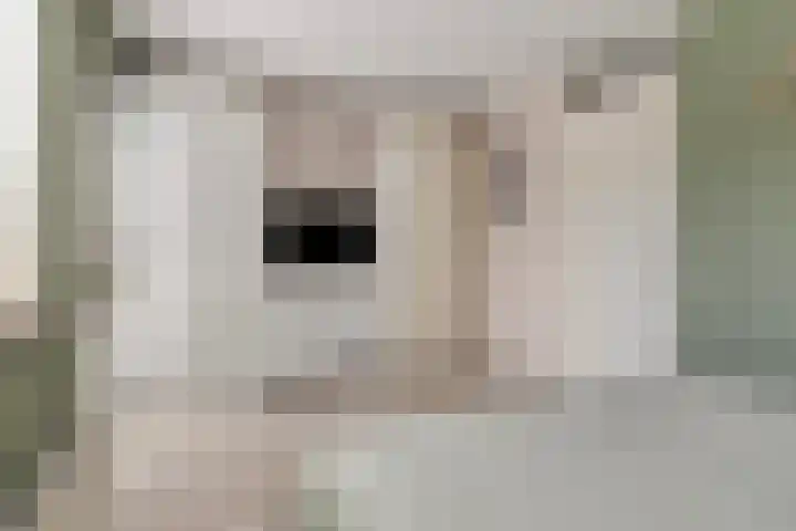 Piraeushaven 32 Purmerend thumbnail 17