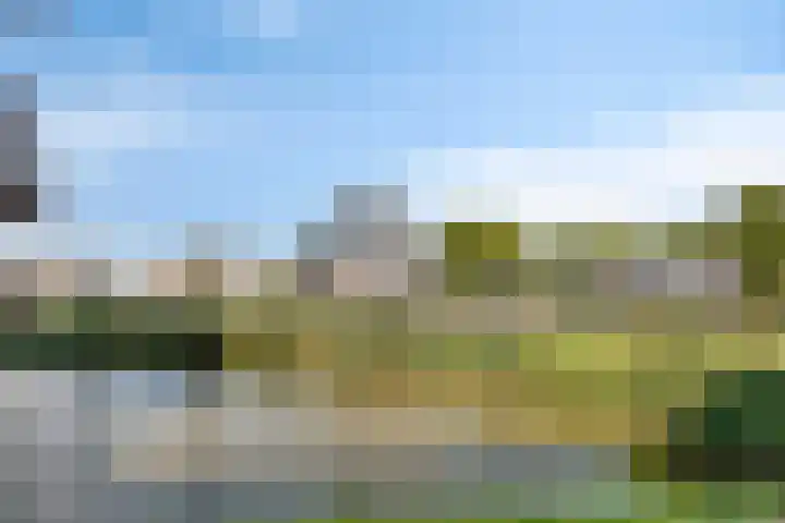 Piraeushaven 32 Purmerend thumbnail 33