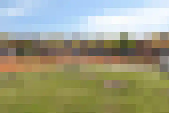 Piraeushaven 32 Purmerend thumbnail 34