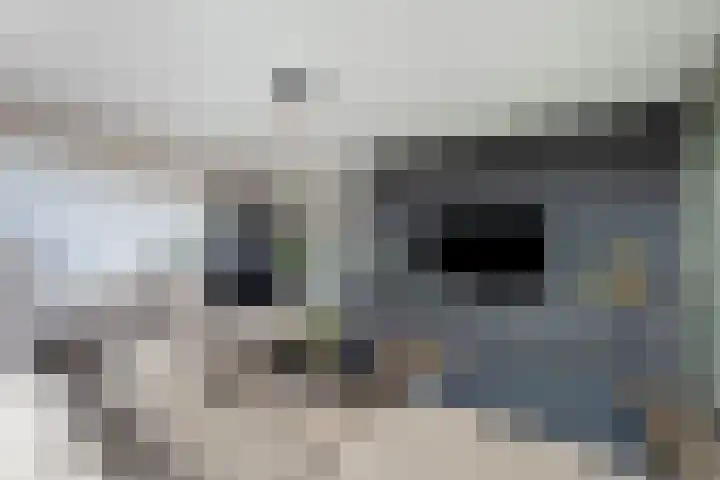 Piramide 32 Dordrecht thumbnail 12