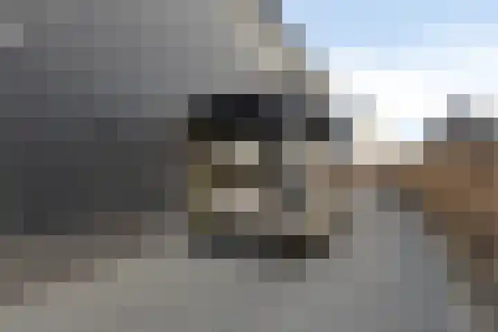 Piramide 32 Dordrecht thumbnail 41