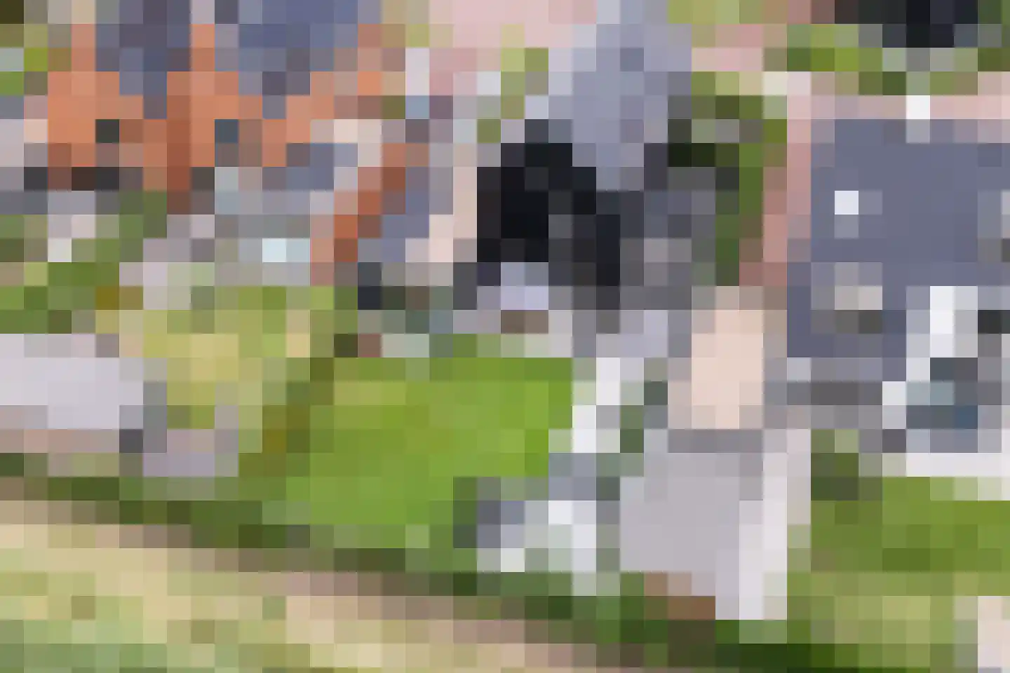 Piramide 32 Dordrecht thumbnail 43