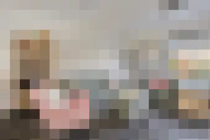 Piramidepad 19 Purmerend thumbnail 14