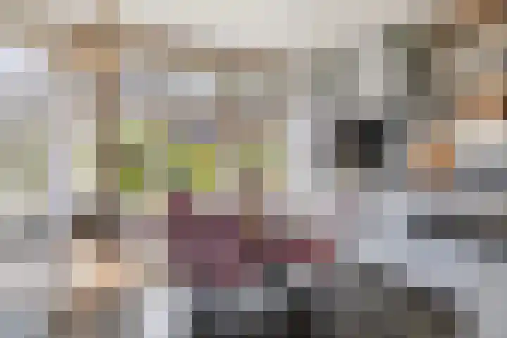 Piramidepad 19 Purmerend thumbnail 15