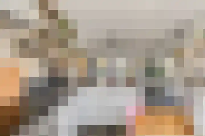 Piramidepad 19 Purmerend thumbnail 17