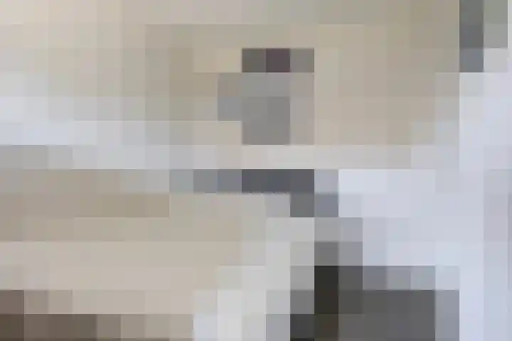 Piramidepad 19 Purmerend thumbnail 20