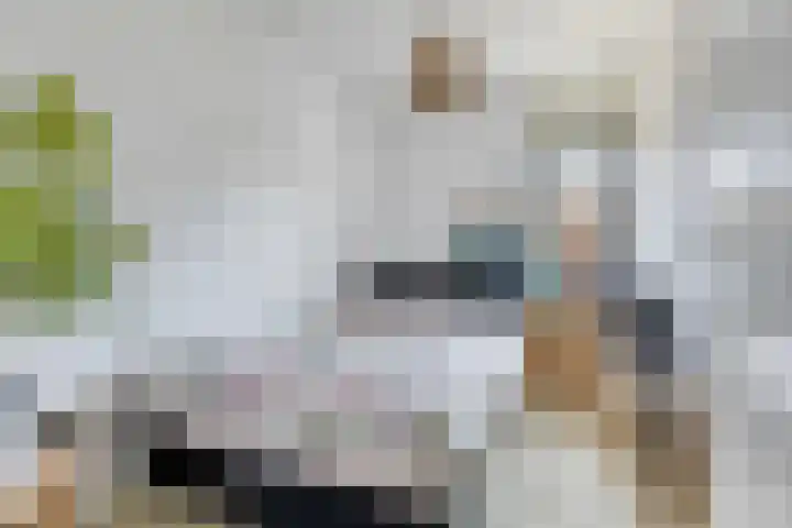 Piramidepad 19 Purmerend thumbnail 22