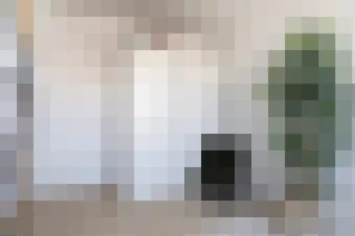 Piramidepad 19 Purmerend thumbnail 25