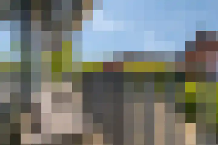 Piramidepad 19 Purmerend thumbnail 27
