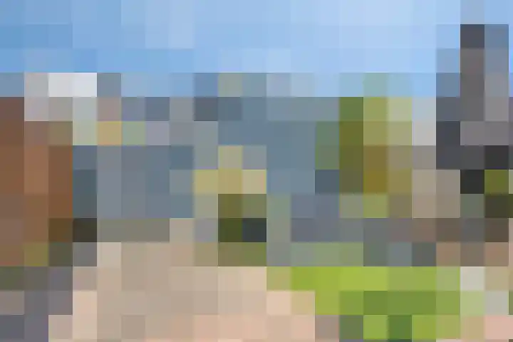 Piramidepad 19 Purmerend thumbnail 30