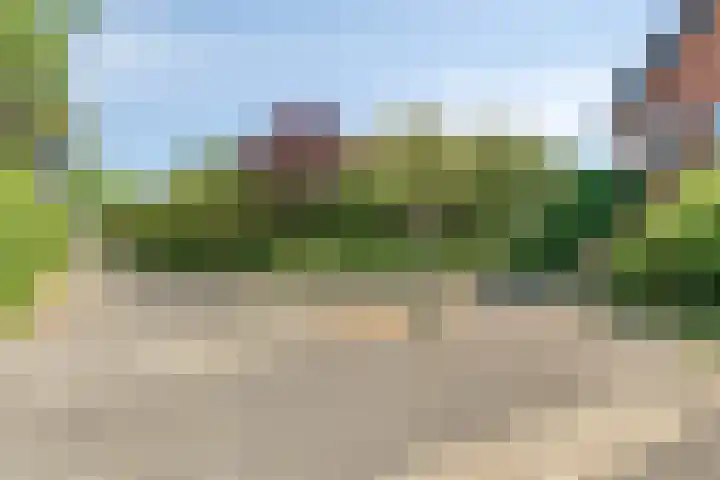 Piramidepad 19 Purmerend thumbnail 31