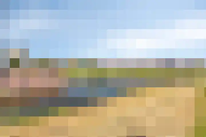 Piramidepad 19 Purmerend thumbnail 33