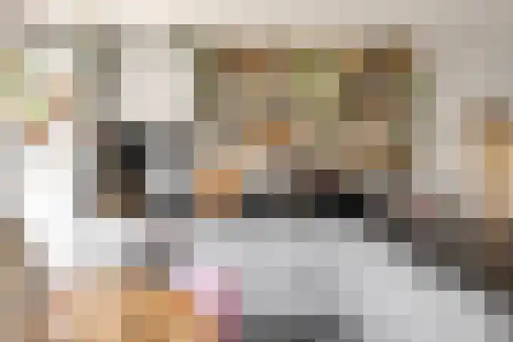 Piramidepad 19 Purmerend thumbnail 4