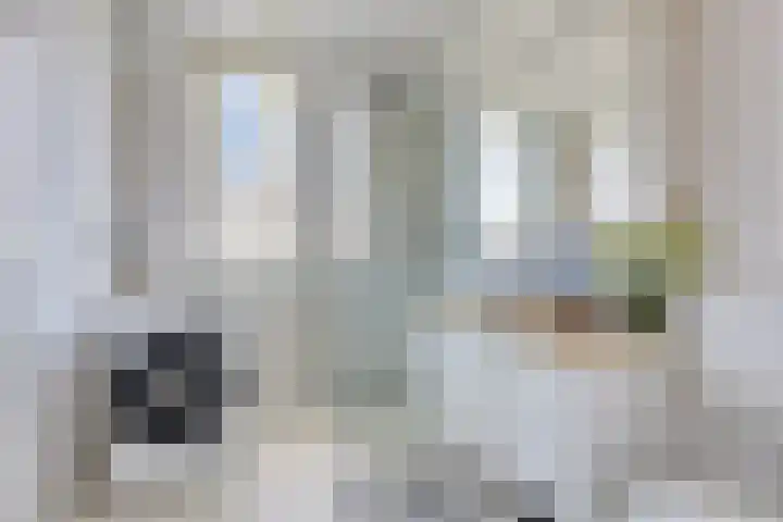 Piramidepad 19 Purmerend thumbnail 5