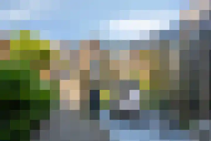 Piramidepad 19 Purmerend thumbnail 6