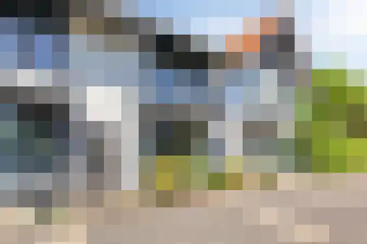 Piramidepad 19 Purmerend thumbnail 7