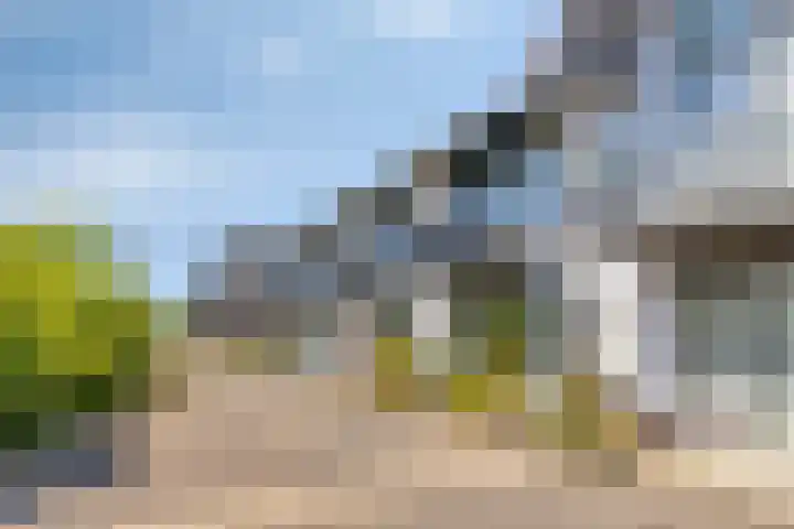 Piramidepad 19 Purmerend thumbnail 8