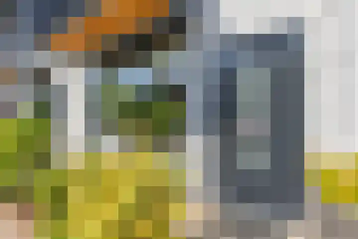 Piramidepad 19 Purmerend thumbnail 9