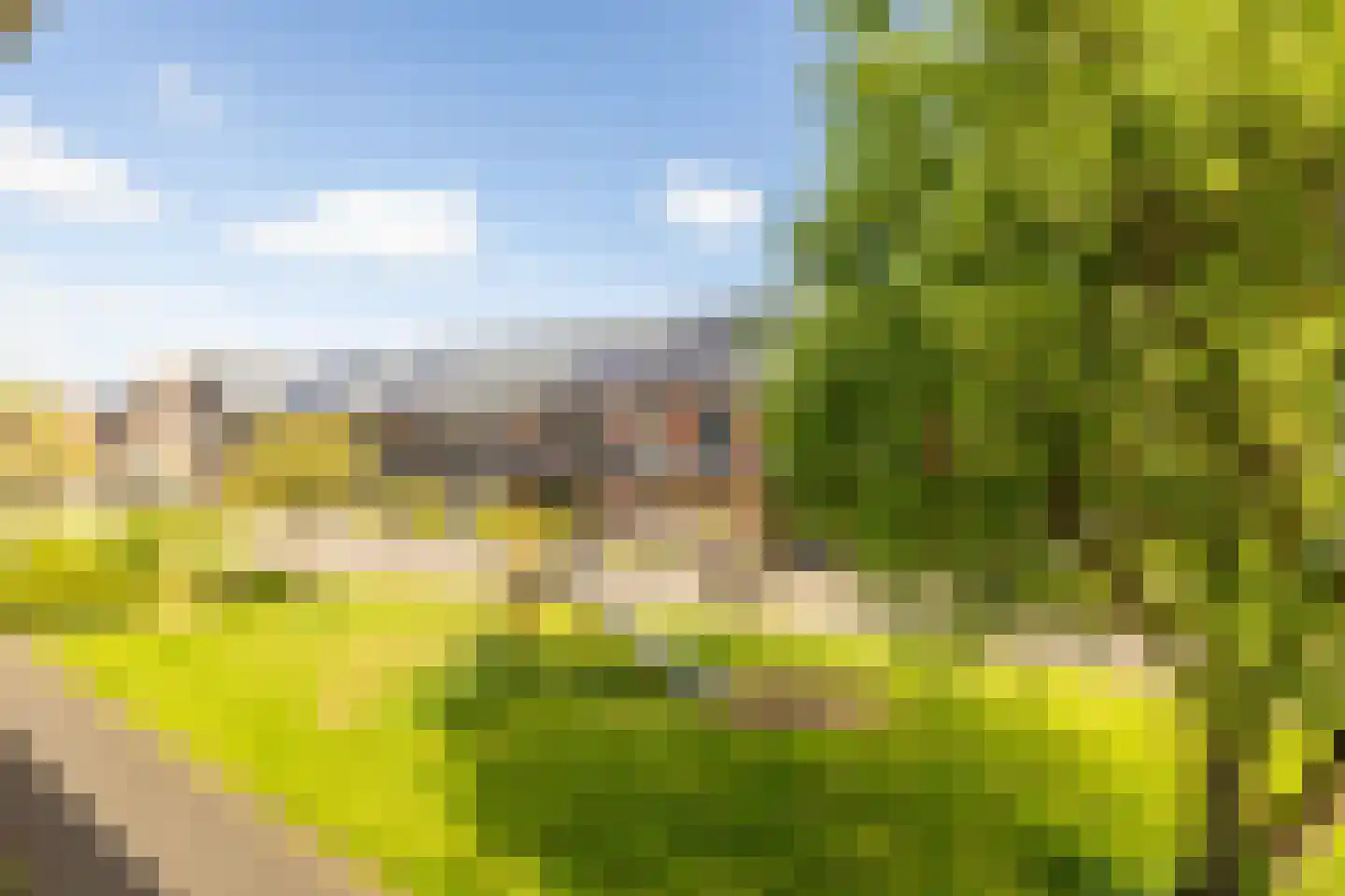 Piramidepad 42 Purmerend thumbnail 24
