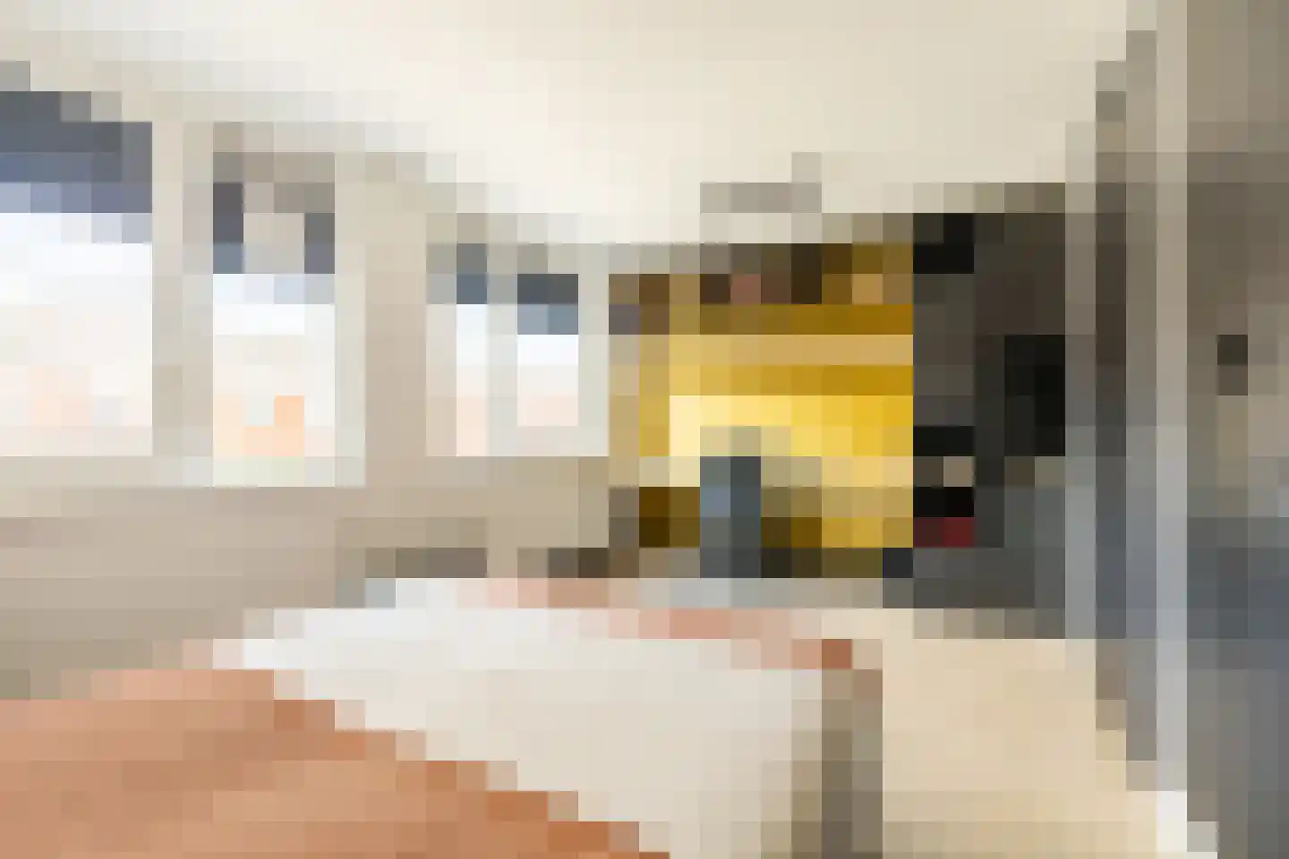 Piramidepad 42 Purmerend thumbnail 26