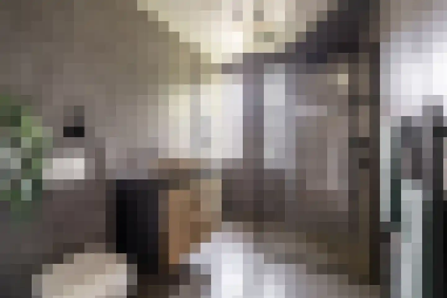 Piramidepad 42 Purmerend thumbnail 28