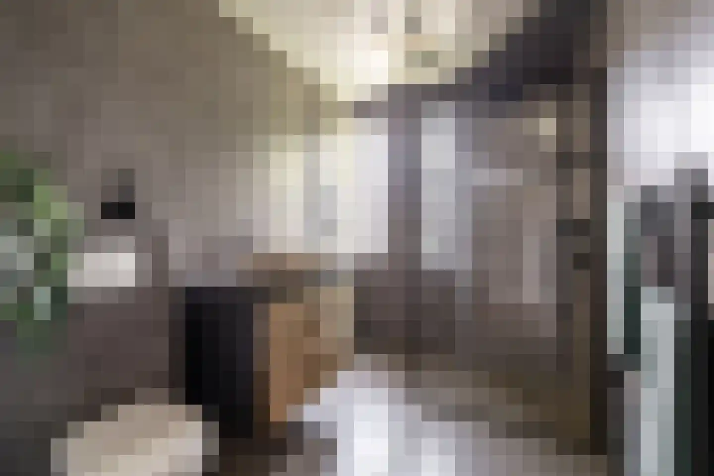 Piramidepad 42 Purmerend thumbnail 4