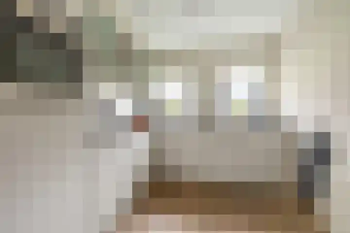 Piramidepad 44 Purmerend thumbnail 17