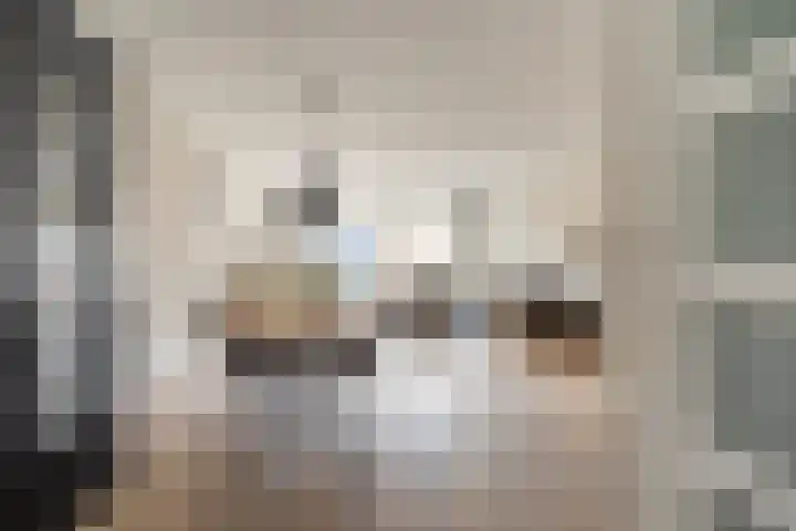 Piramidepad 44 Purmerend thumbnail 20