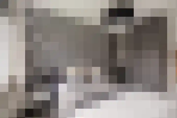 Piramidepad 44 Purmerend thumbnail 22