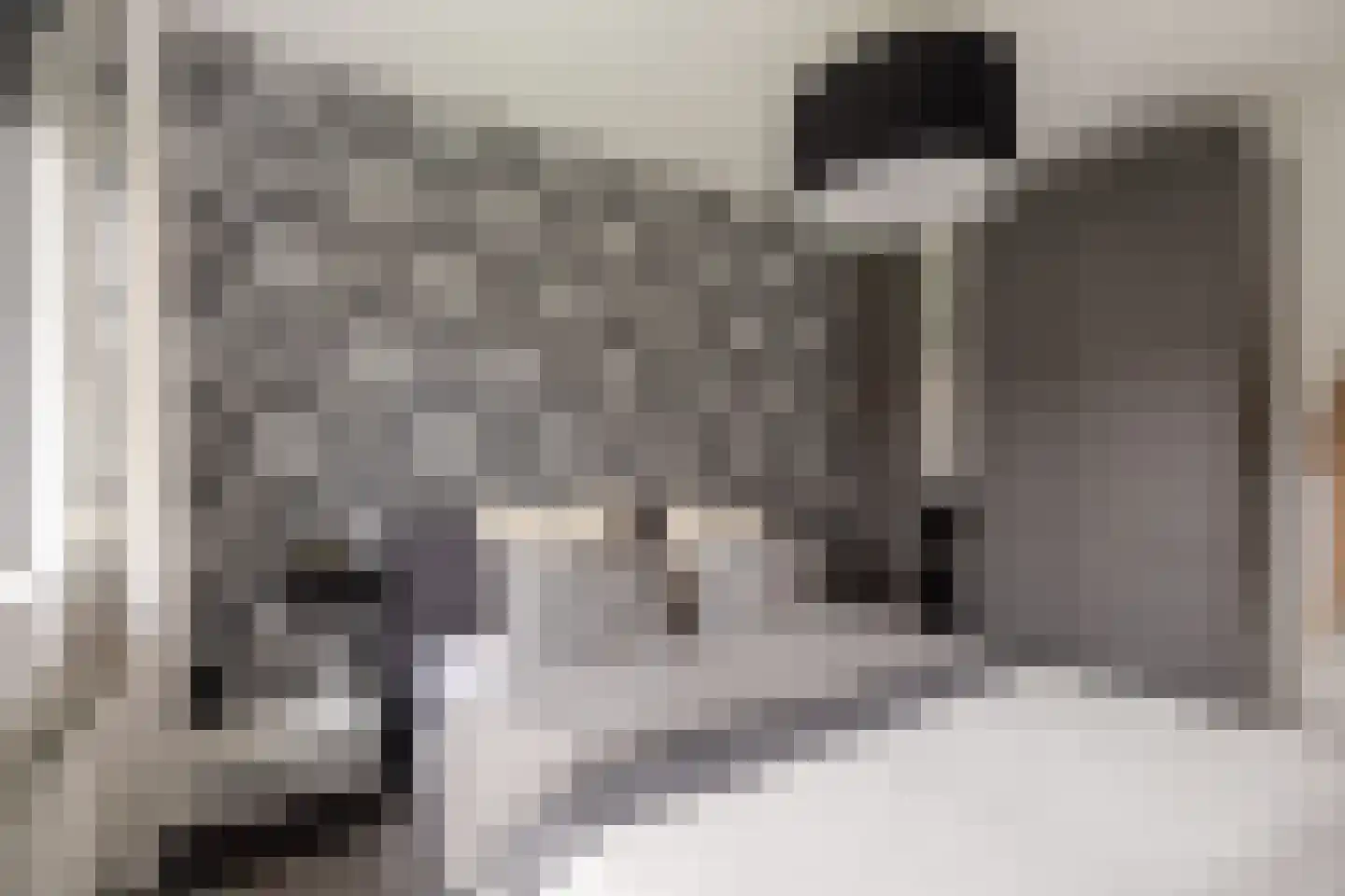 Piramidepad 44 Purmerend thumbnail 22