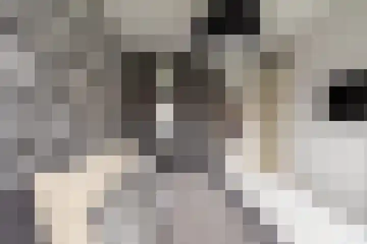 Piramidepad 44 Purmerend thumbnail 23