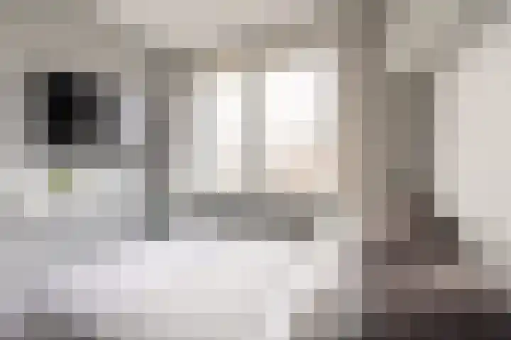 Piramidepad 44 Purmerend thumbnail 27
