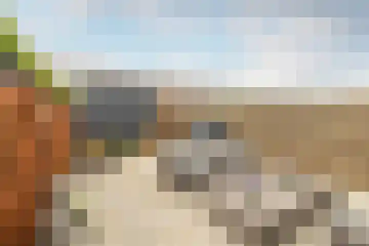 Piramidepad 44 Purmerend thumbnail 33