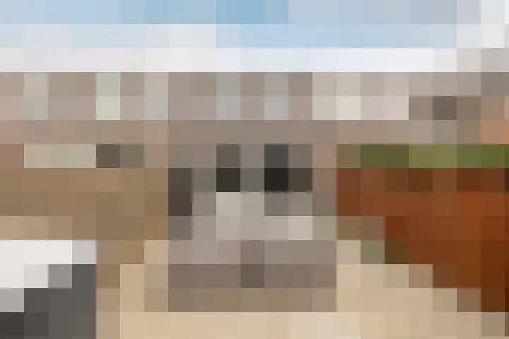Piramidepad 44 Purmerend thumbnail 36