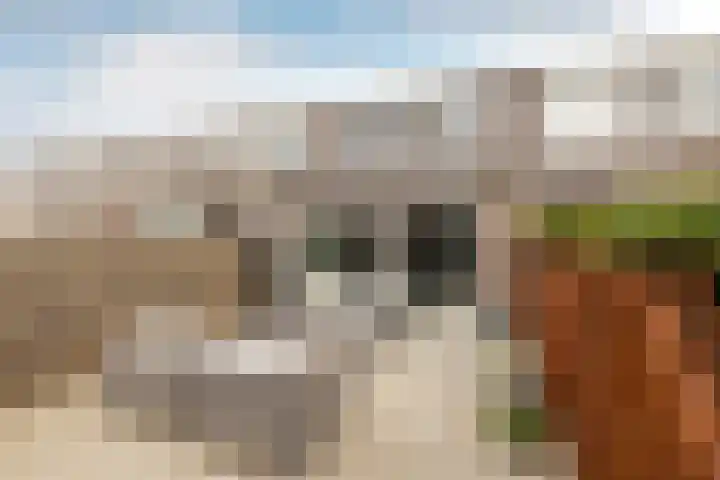 Piramidepad 44 Purmerend thumbnail 4