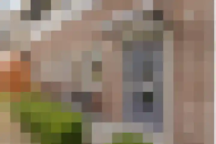 Piramidepad 44 Purmerend thumbnail 6
