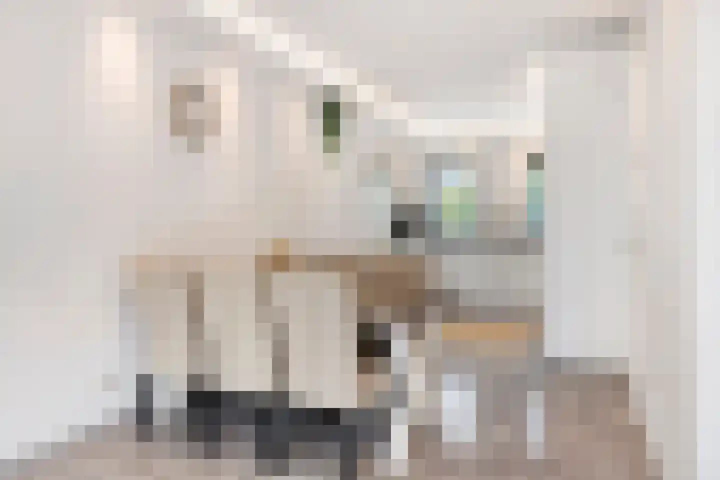Piramidepad 8 Purmerend thumbnail 10