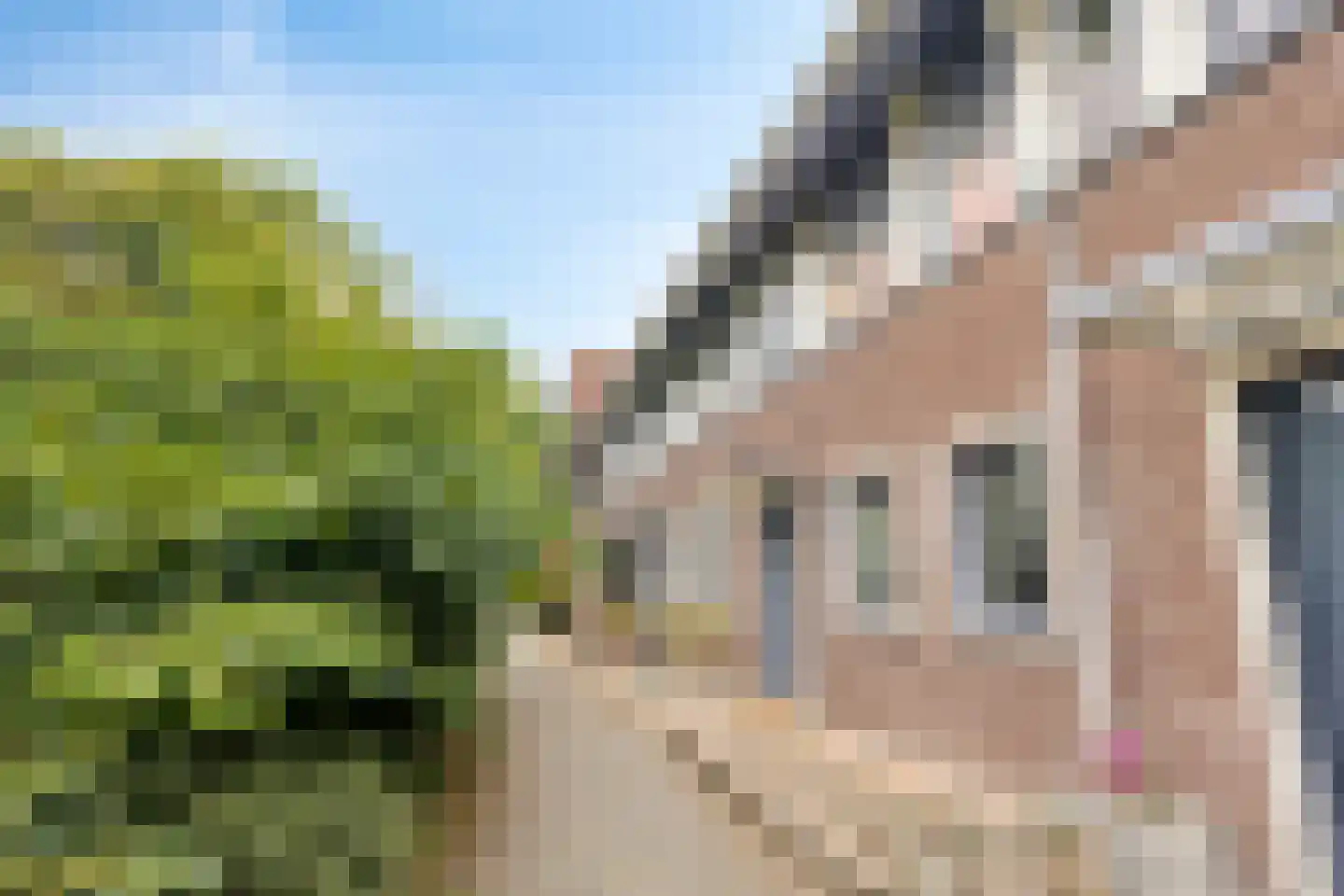 Piramidepad 8 Purmerend thumbnail 5