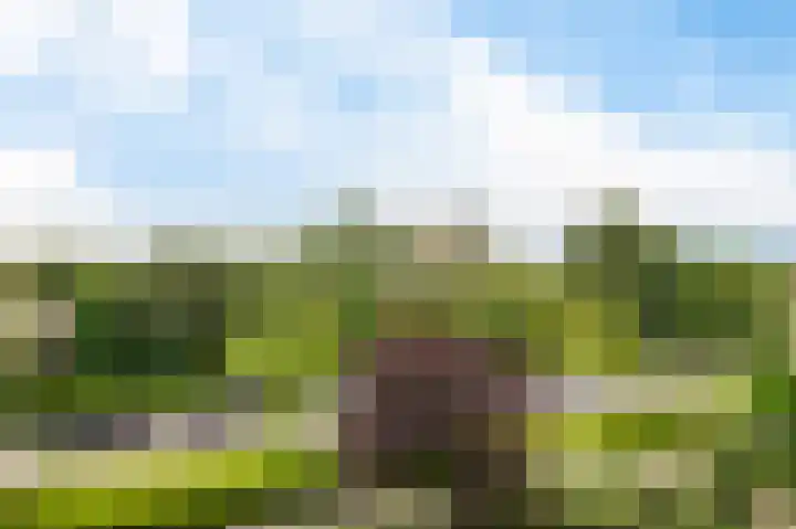 Piratenweg 108 Hoofddorp thumbnail 20