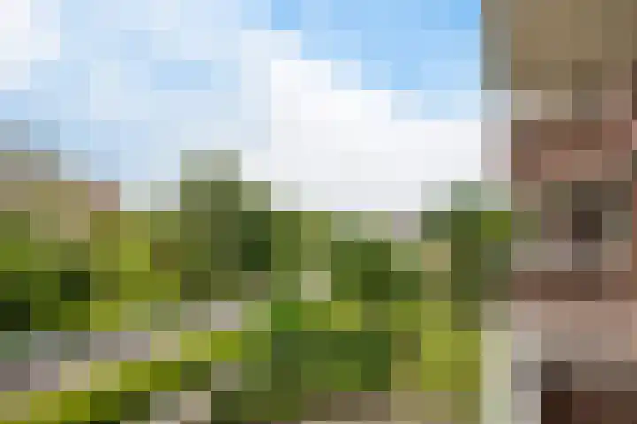 Piratenweg 108 Hoofddorp thumbnail 21